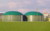 Biomass