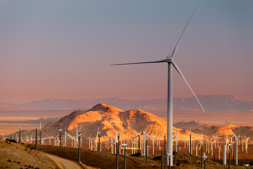 Wind feasibility study
