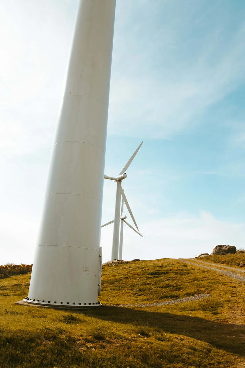 What to check in the wind park due diligence, regulatory audit?