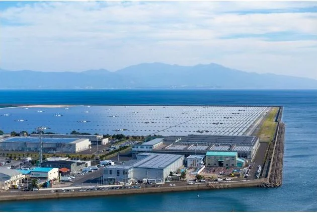 Solar market expert consultants