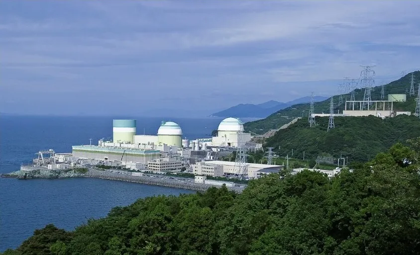 Power Plant Development & Project Advisory