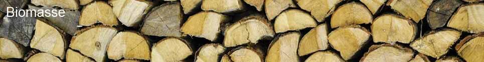 Territorial wood-energy supply plan